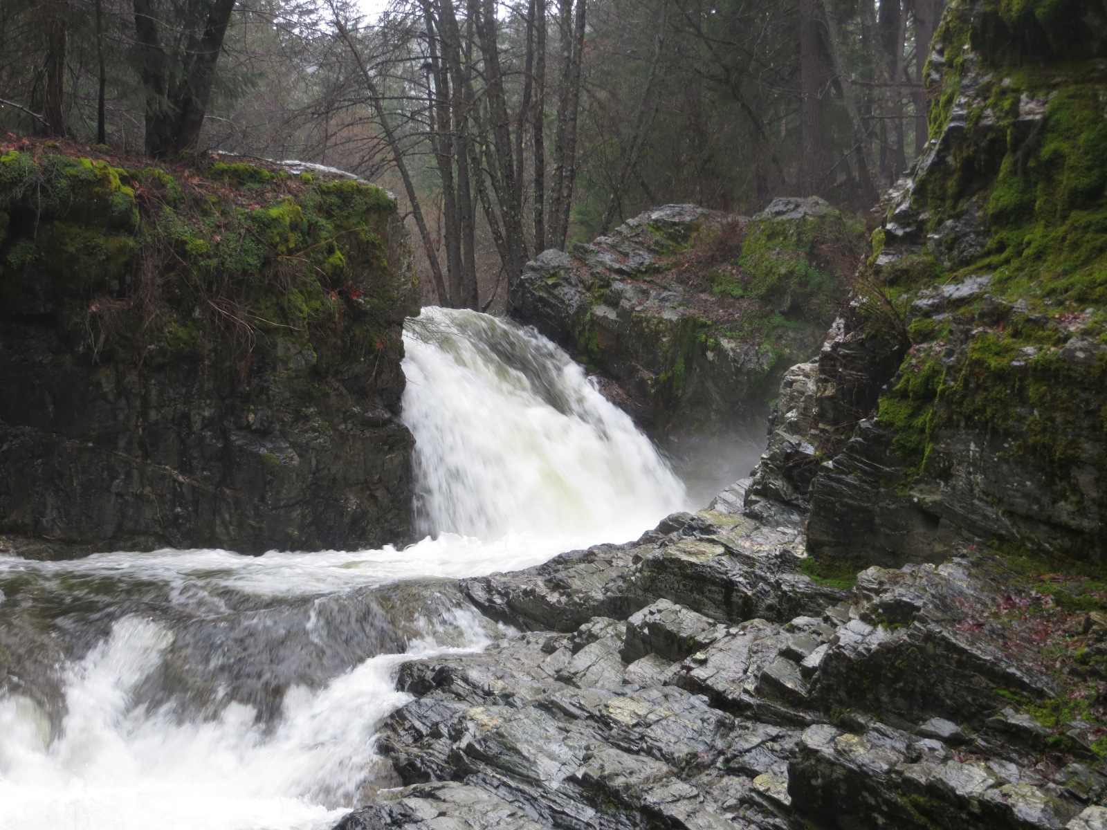 Photo of Shackleford Falls.